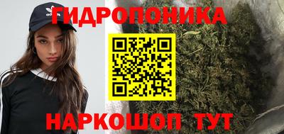 стаф Краснокаменск
