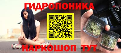 хмурый Краснодар