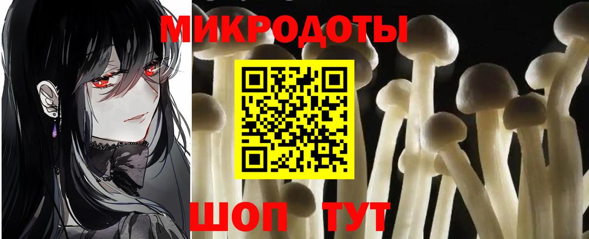 Галлюциногенные грибы Cubensis  Вход с VPN  Ивантеевка 